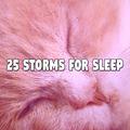 25 Storms For Sleep