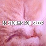 25 Storms For Sleep专辑