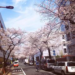 （十人合唱）怪獣の花唄 / 怪兽花歌