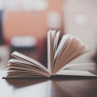 青春是一本太仓促的书