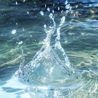 据说这是一个很鲜活的梦