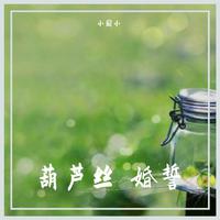 [乐器伴奏]葫芦丝伴奏婚事