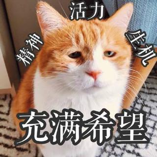 念念不忘 没有回响