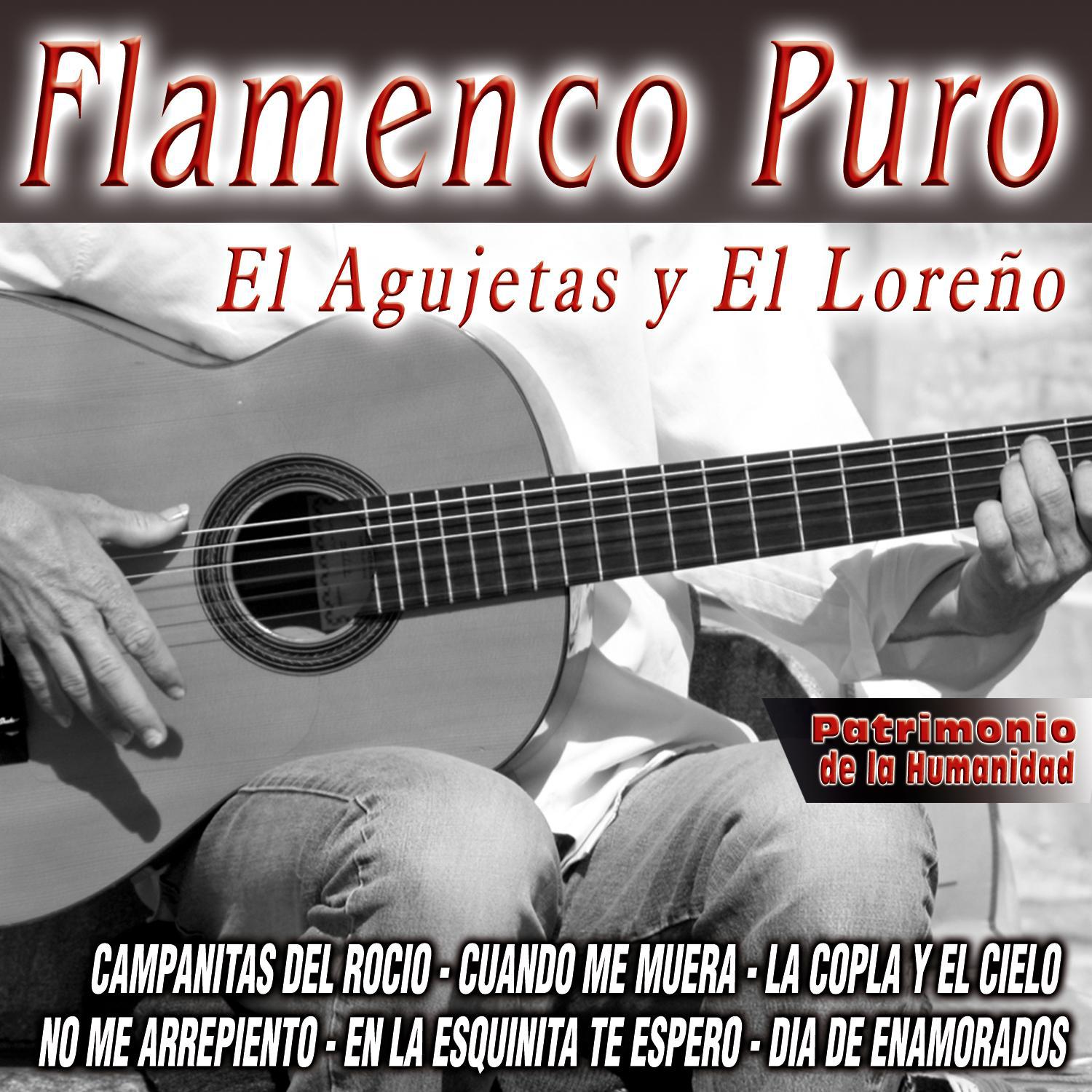 Flamenco Patrimonio De la Humanidad专辑