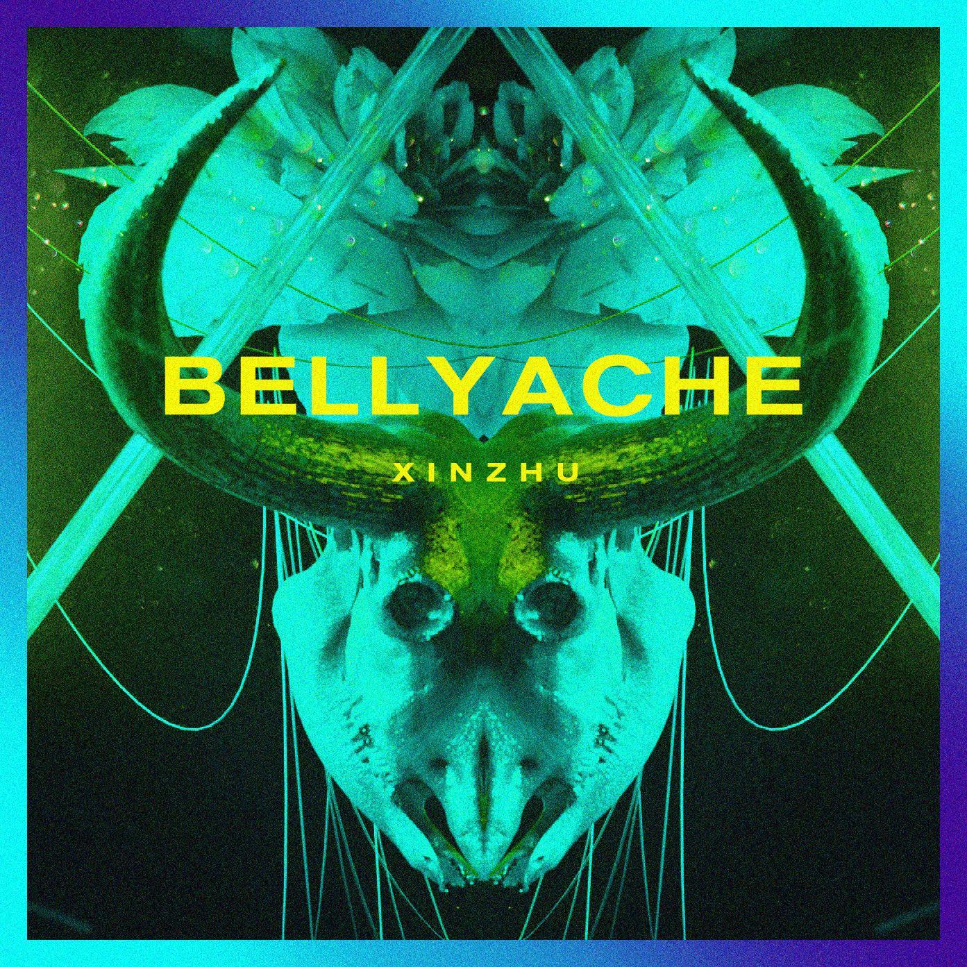 Bellyache（Billie Eilish）- XINZHU COVER