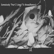 Somebody That I Used To Know (柳李 Atom Panda Remix）