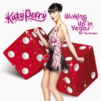 原版伴奏 Katy Perry - Waking Up In Vegas Calvin Harris Remix ( Unofficial Instrumental )无和声