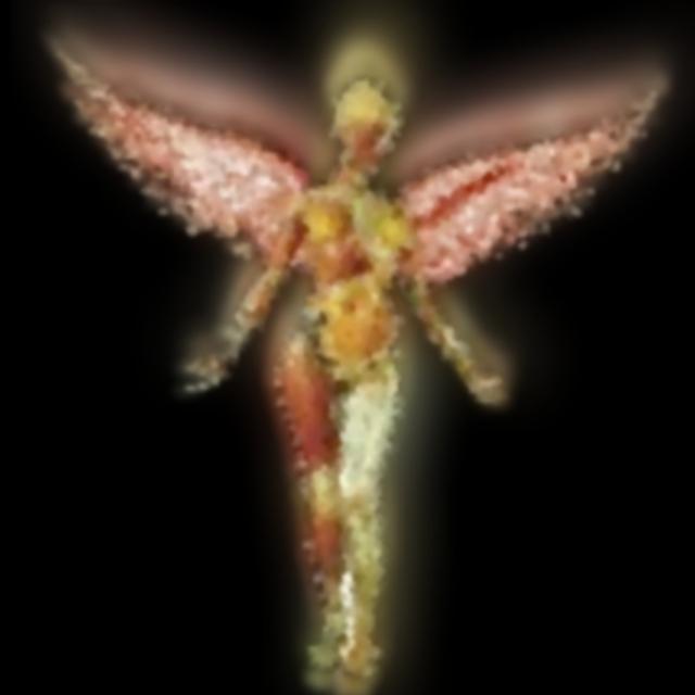 Nirvanamind