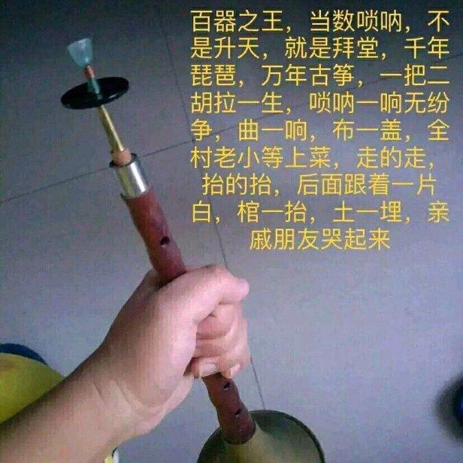 最骚唢呐，二骚二胡，三骚古筝，钢琴等