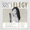 5 Romances: Romance No. 3 'Elegy'