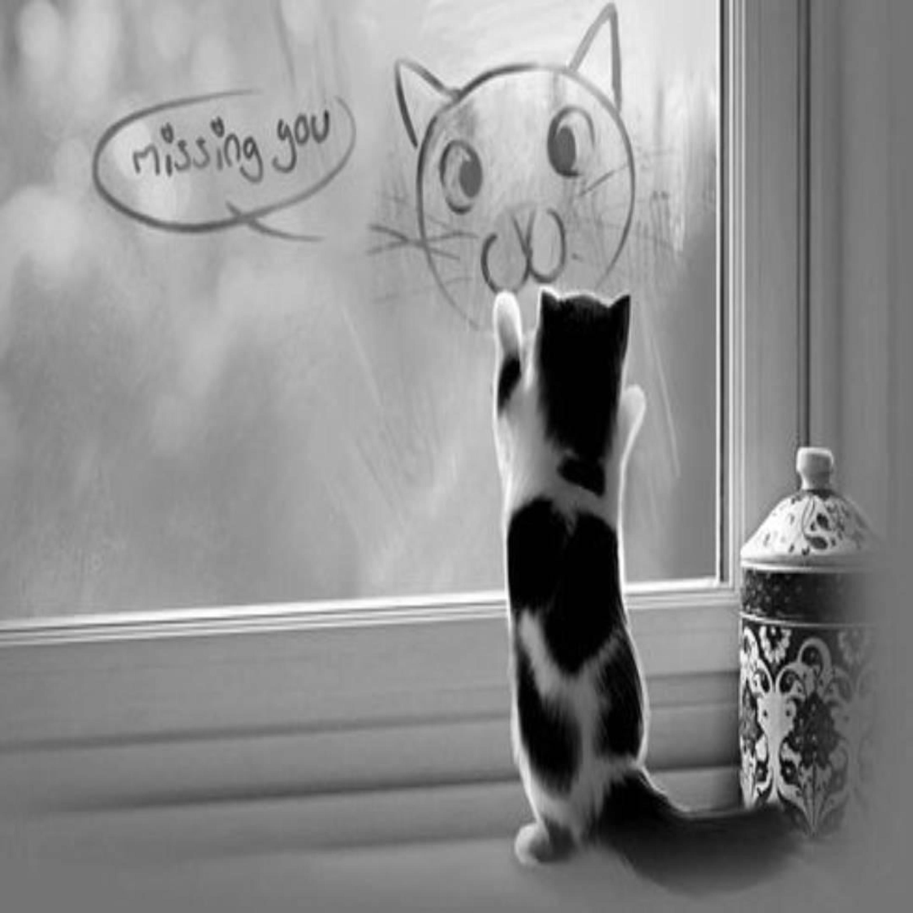 pienso en ti (feat. K4RSON & User116)