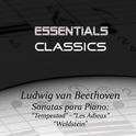 Beethoven - Piano Sonatas No. 17 "Tempest" - No. 26 "Les Adieux" - No. 21 "Waldstein"专辑