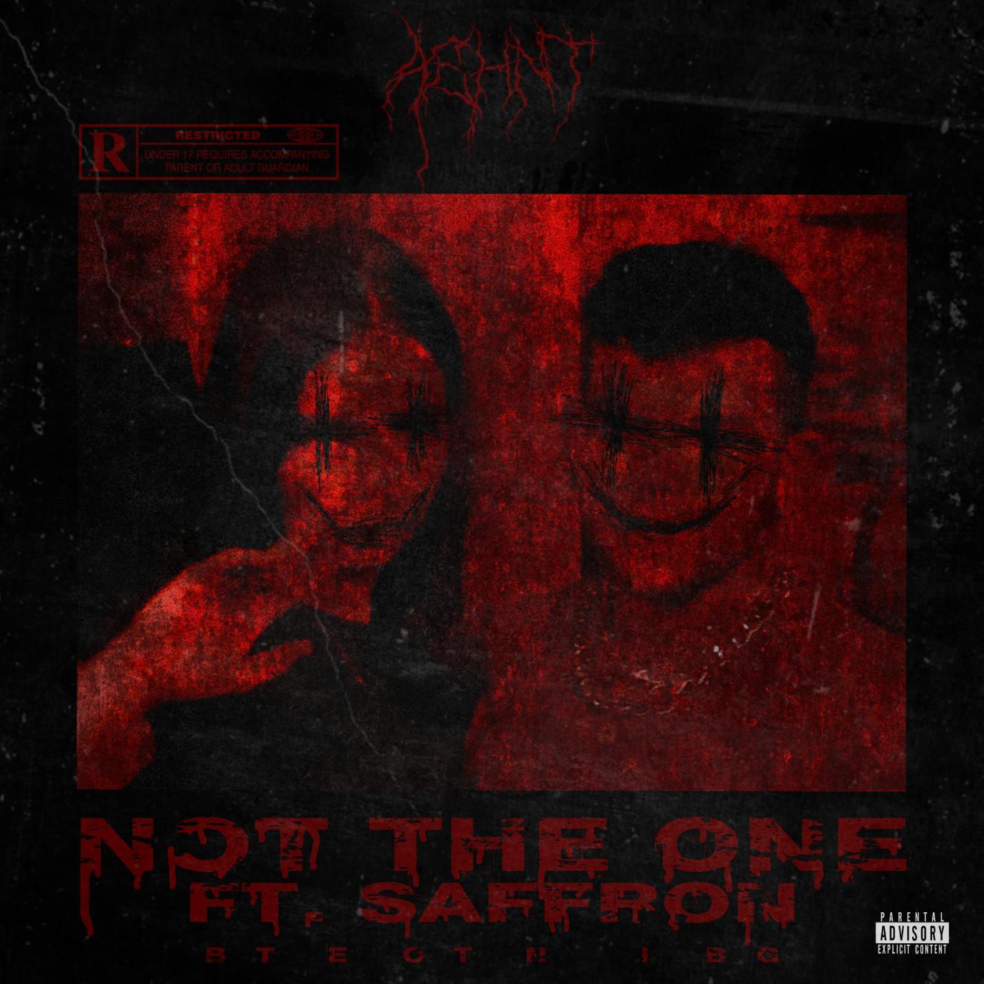 Not the One (feat. Saffron)