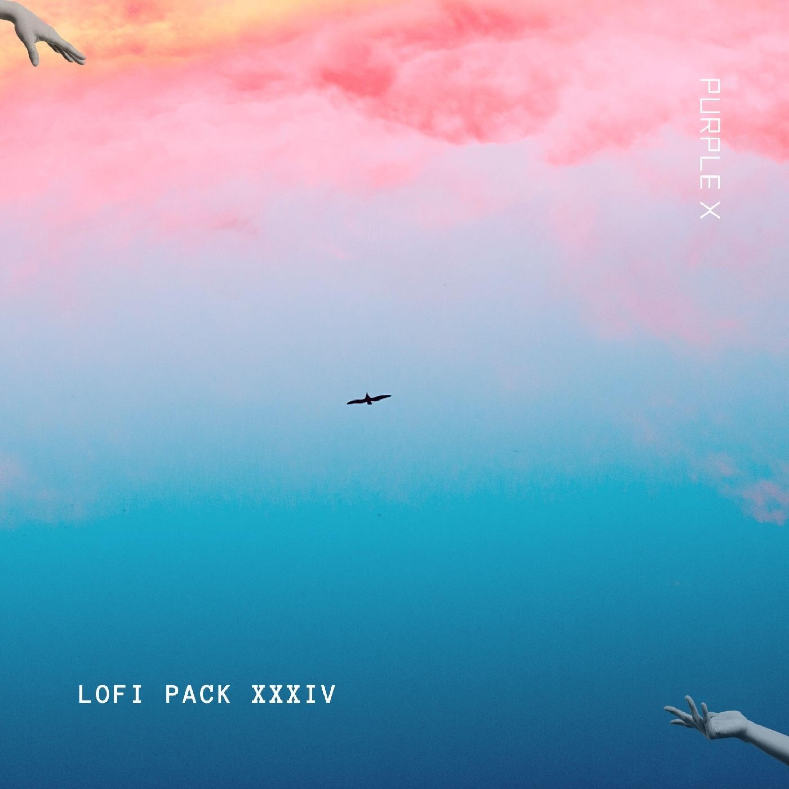 Nightfall's Soft Embrace