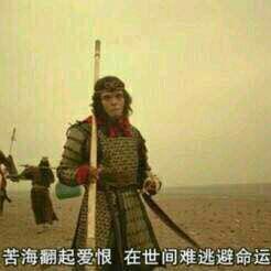 所以你好，再见。