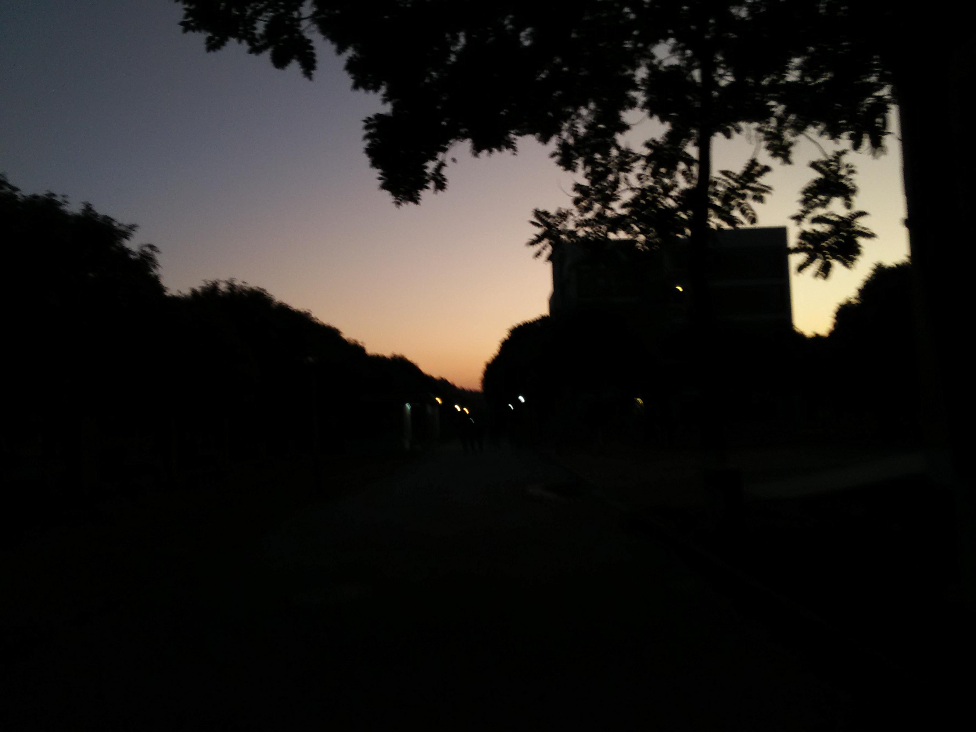 星星与海专辑
