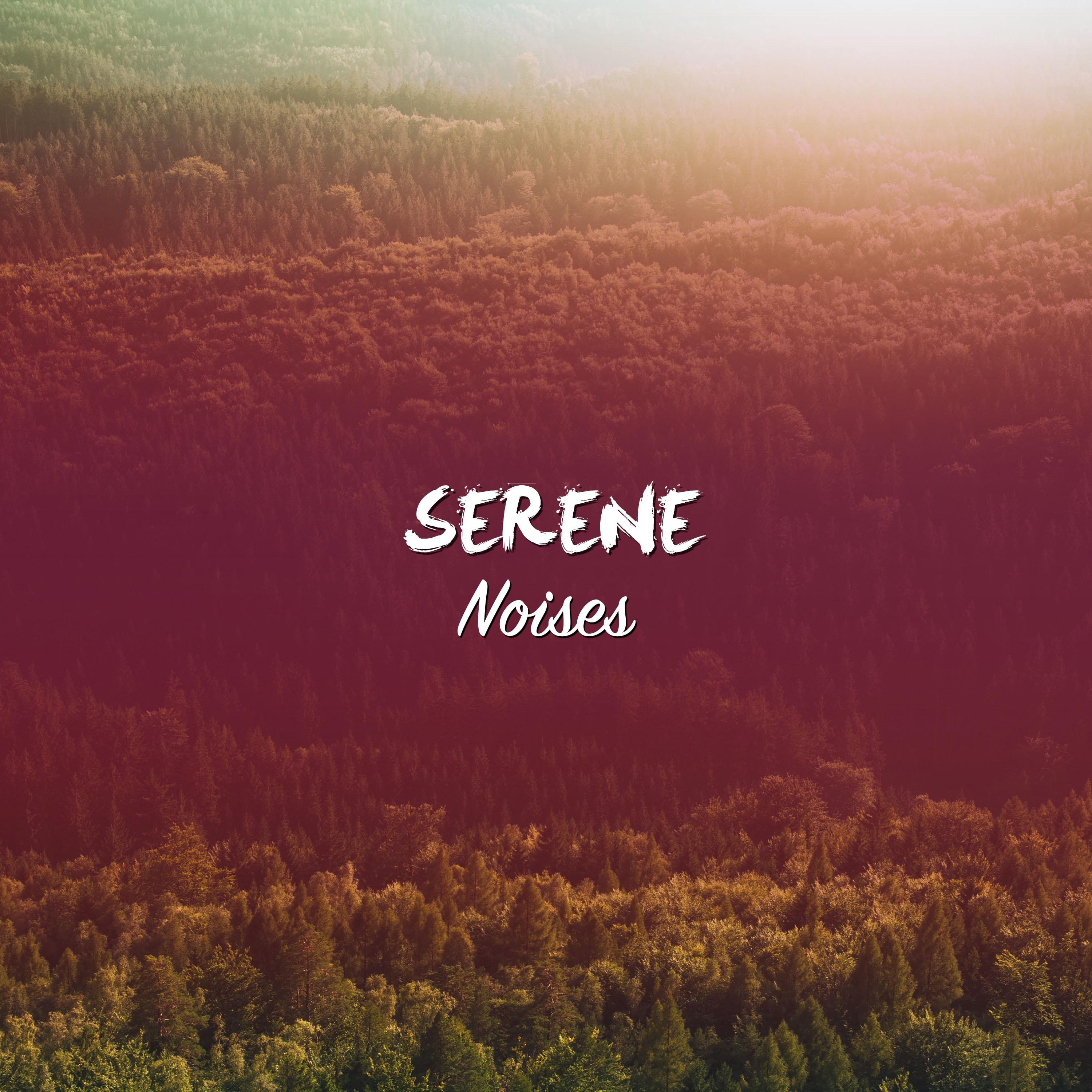 #21 Serene Noises for Meditation and Yoga专辑