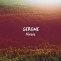 #21 Serene Noises for Meditation and Yoga专辑