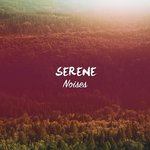 #21 Serene Noises for Meditation and Yoga专辑