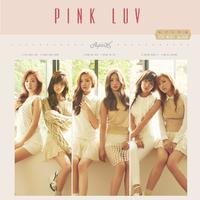 Apink - Luv『和声伴奏』