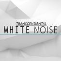 Transcendental White Noise专辑