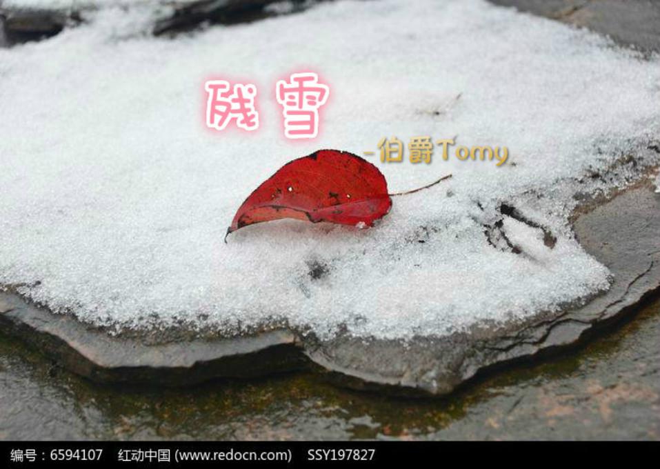 残雪专辑