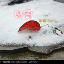 残雪专辑