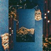 月光
