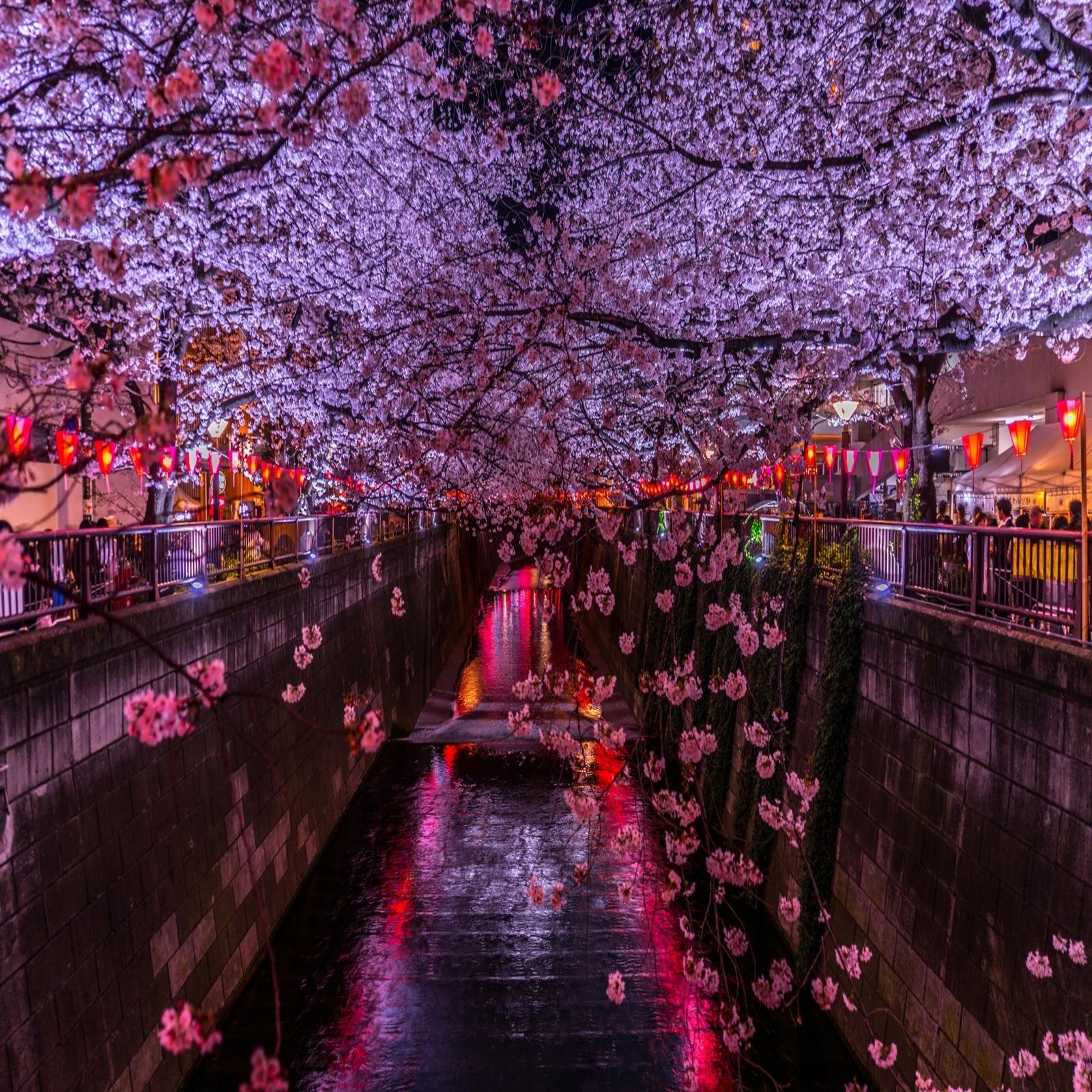 Spring Will NOT come