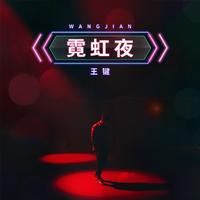 王键 - 霓虹夜