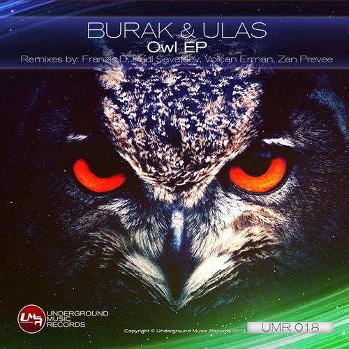 Owl EP