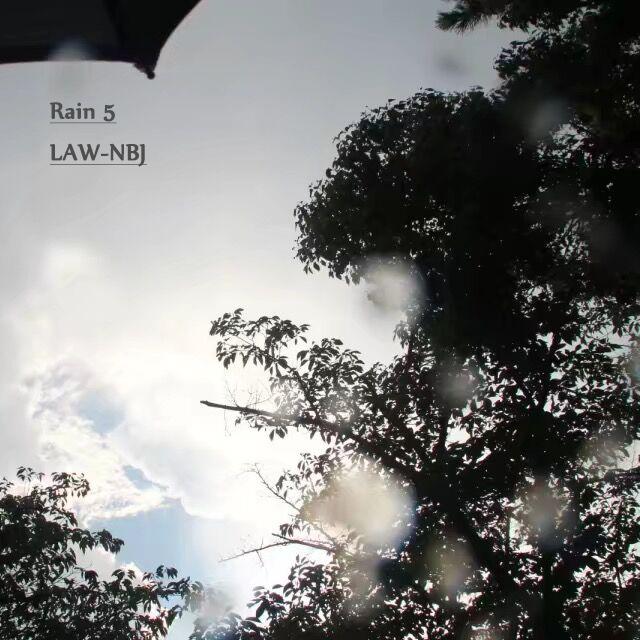 Rain 5专辑
