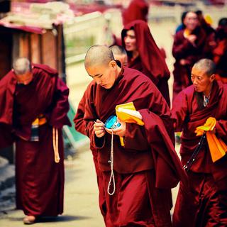 『 TIBETAN 』你永远要感谢给你逆境的众生
