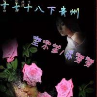 王小多、班仕美 - 贵州山歌 (二节调版)