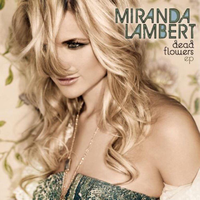 原版伴奏   Miranda Lambert - Dead Flowers (karaoke)