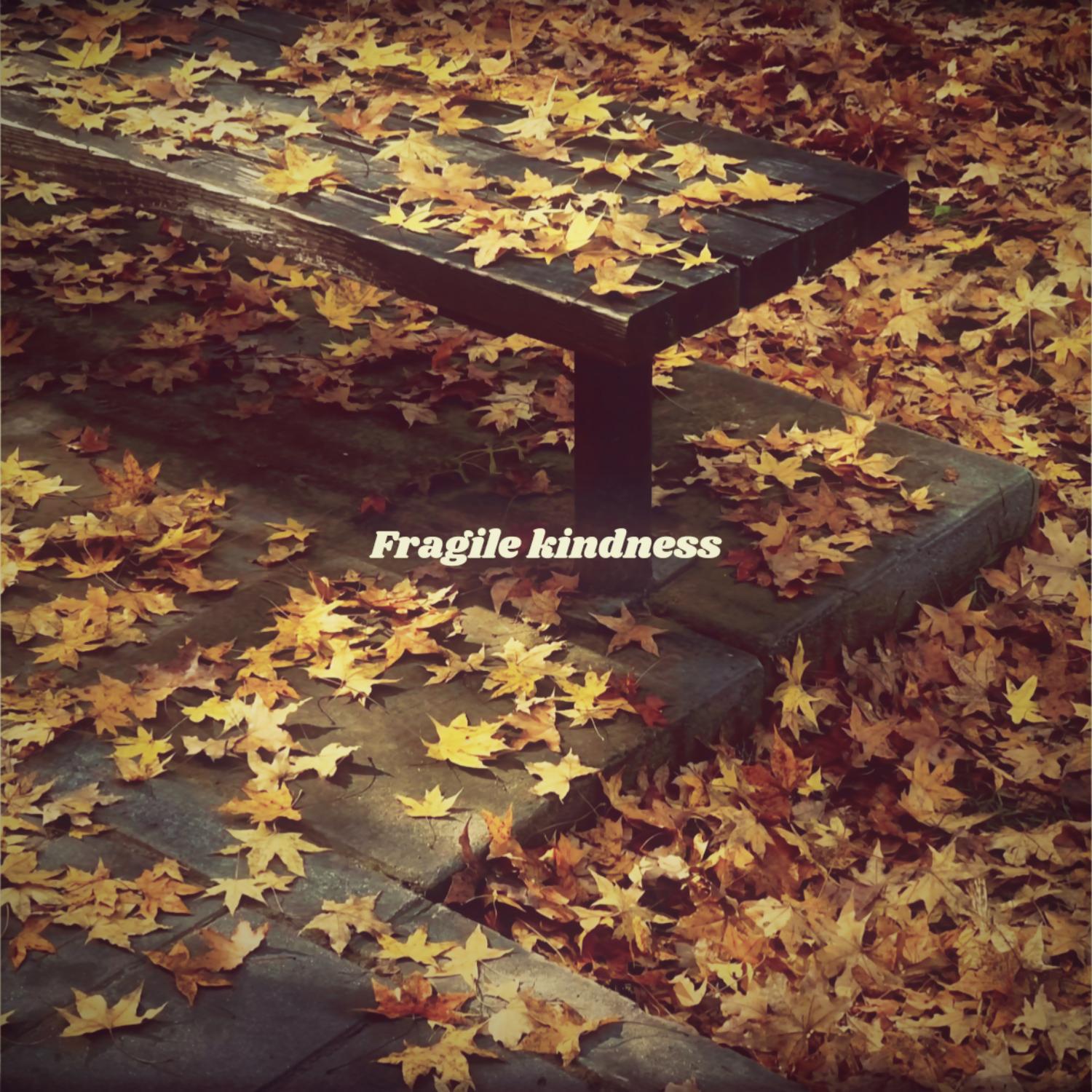 Fragile kindness专辑