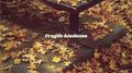 Fragile kindness专辑