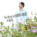 无法忘记你的温柔专辑