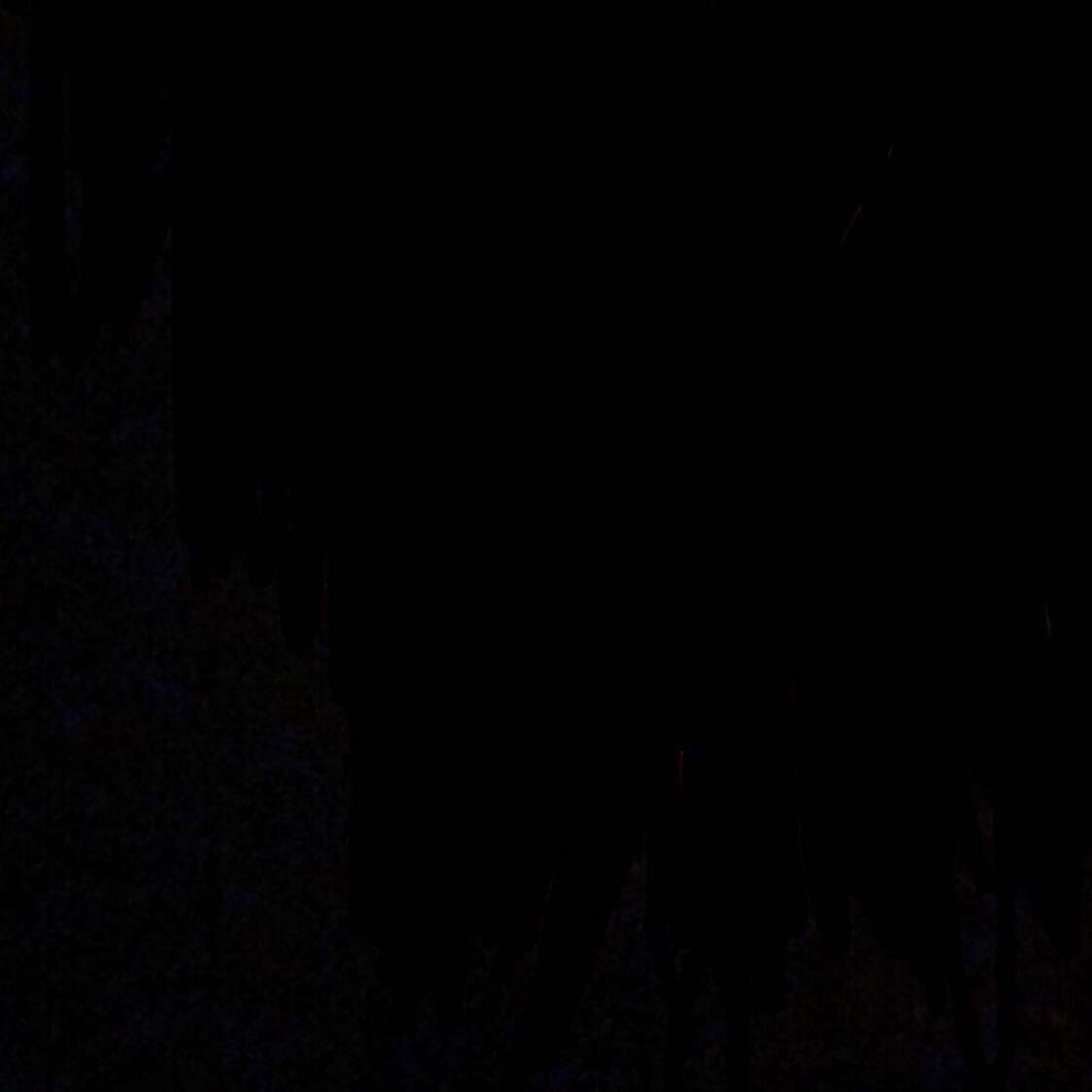 南征北战NZBZ-哈尼宝贝(纯净版Remix)（DD打D哒 Remix）