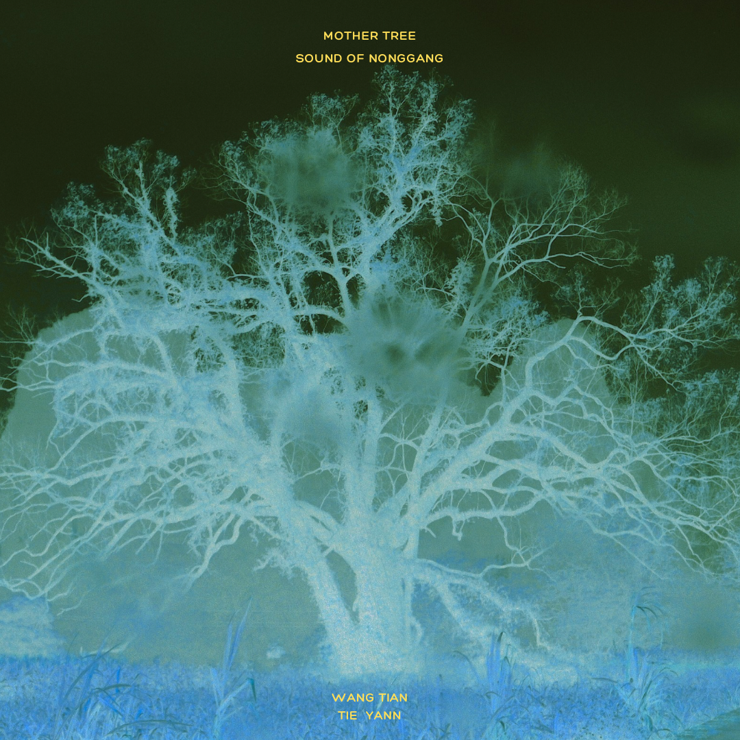 Mother Tree - Sound of Nonggang