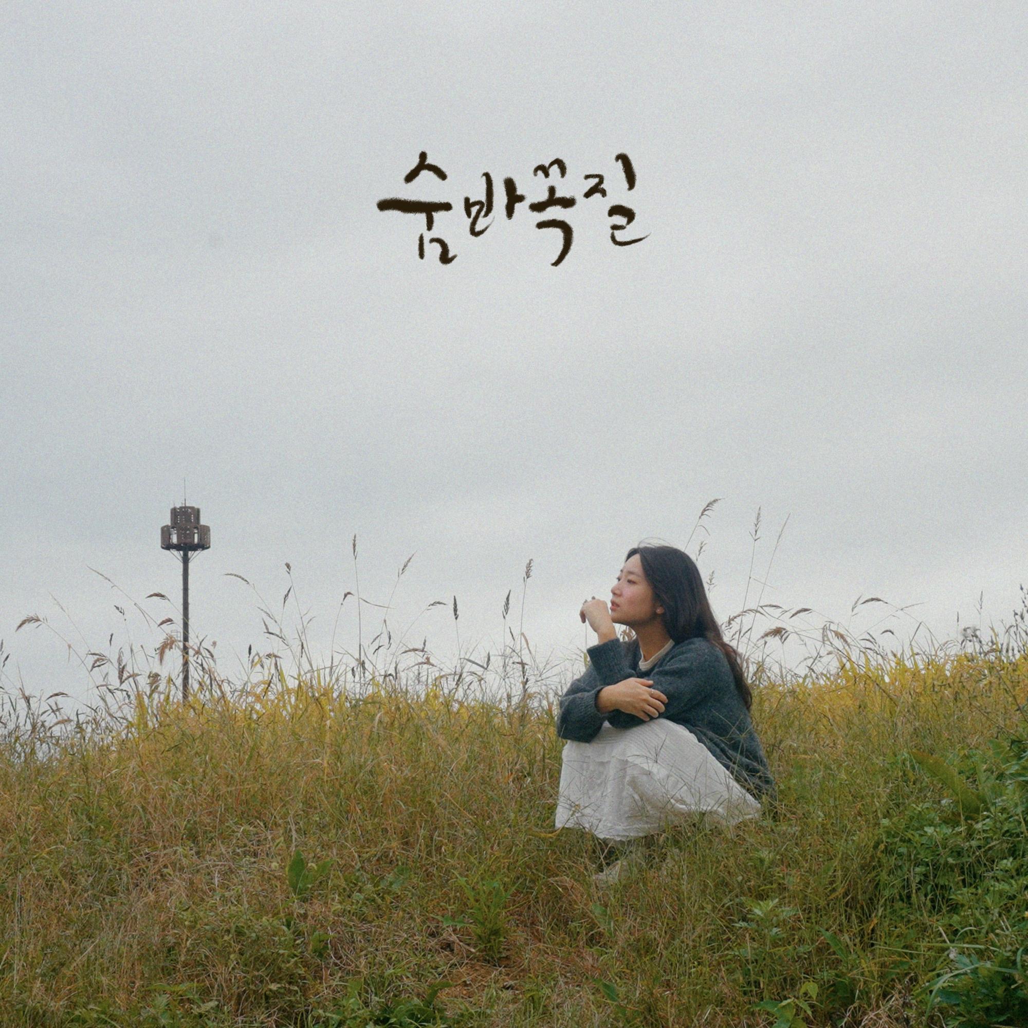 숨바꼭질