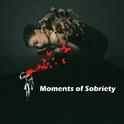 Moments of Sobriety (Mix By LyDa)专辑