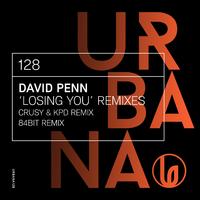 Losing You (Remixes)