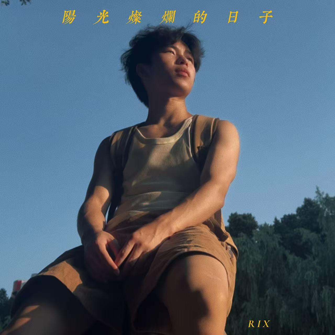 阳光灿烂的日子专辑