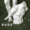 Buds专辑