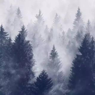 北国梦境丨北欧另类/独立摇滚选辑