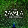 Gabriel Zavala - Aunque Me Destroza