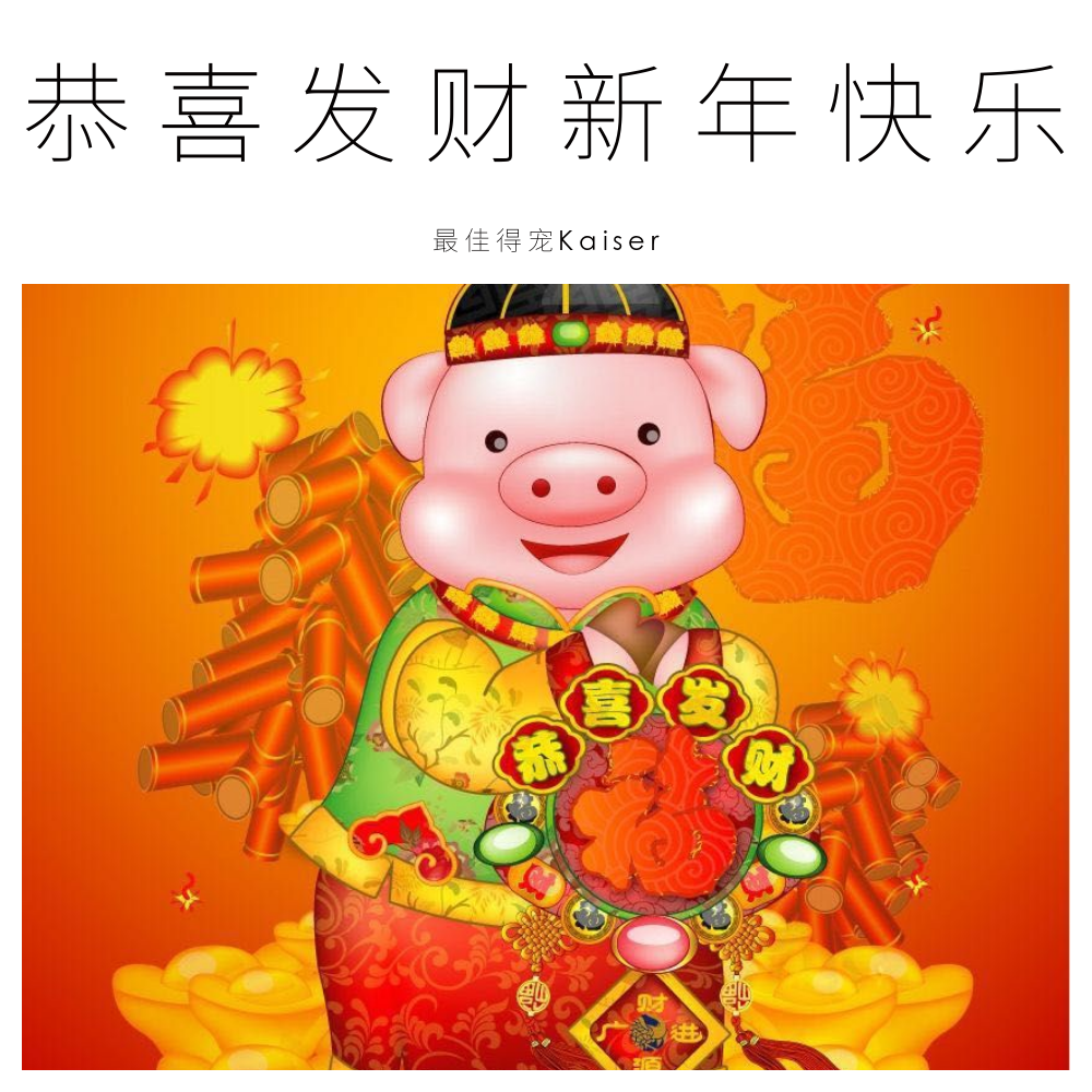 恭喜发财新年快乐专辑