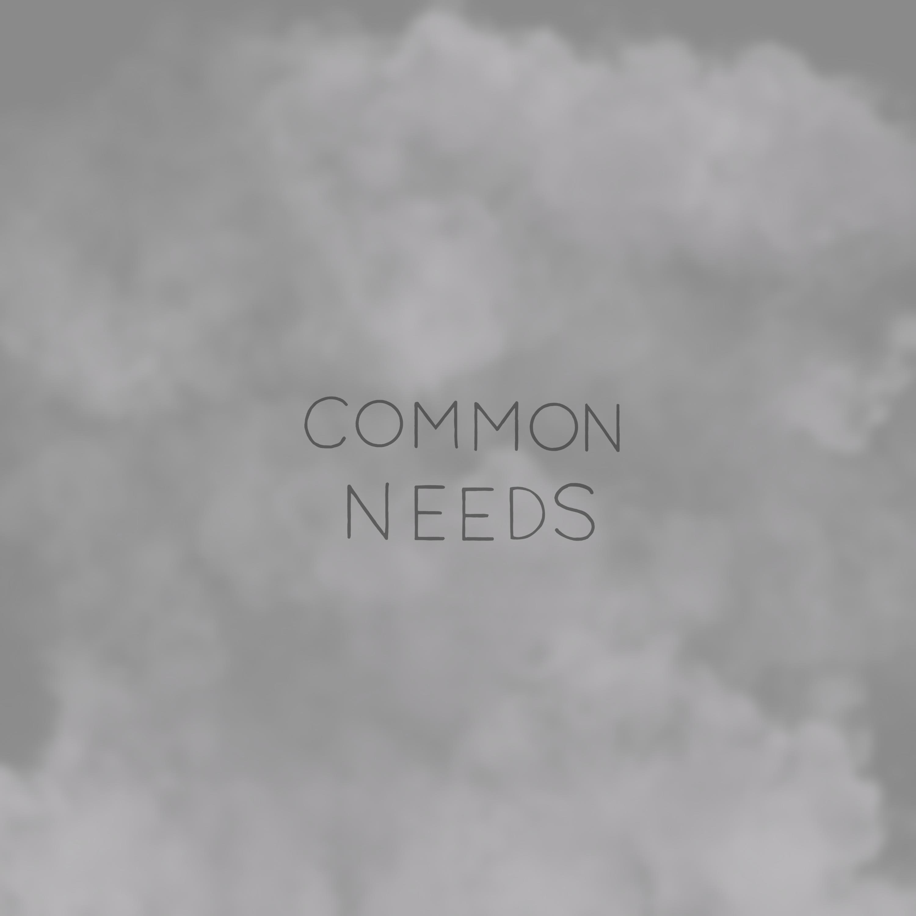 Common Needs (feat. Tribzy)