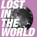 LOST IN THE WORLD